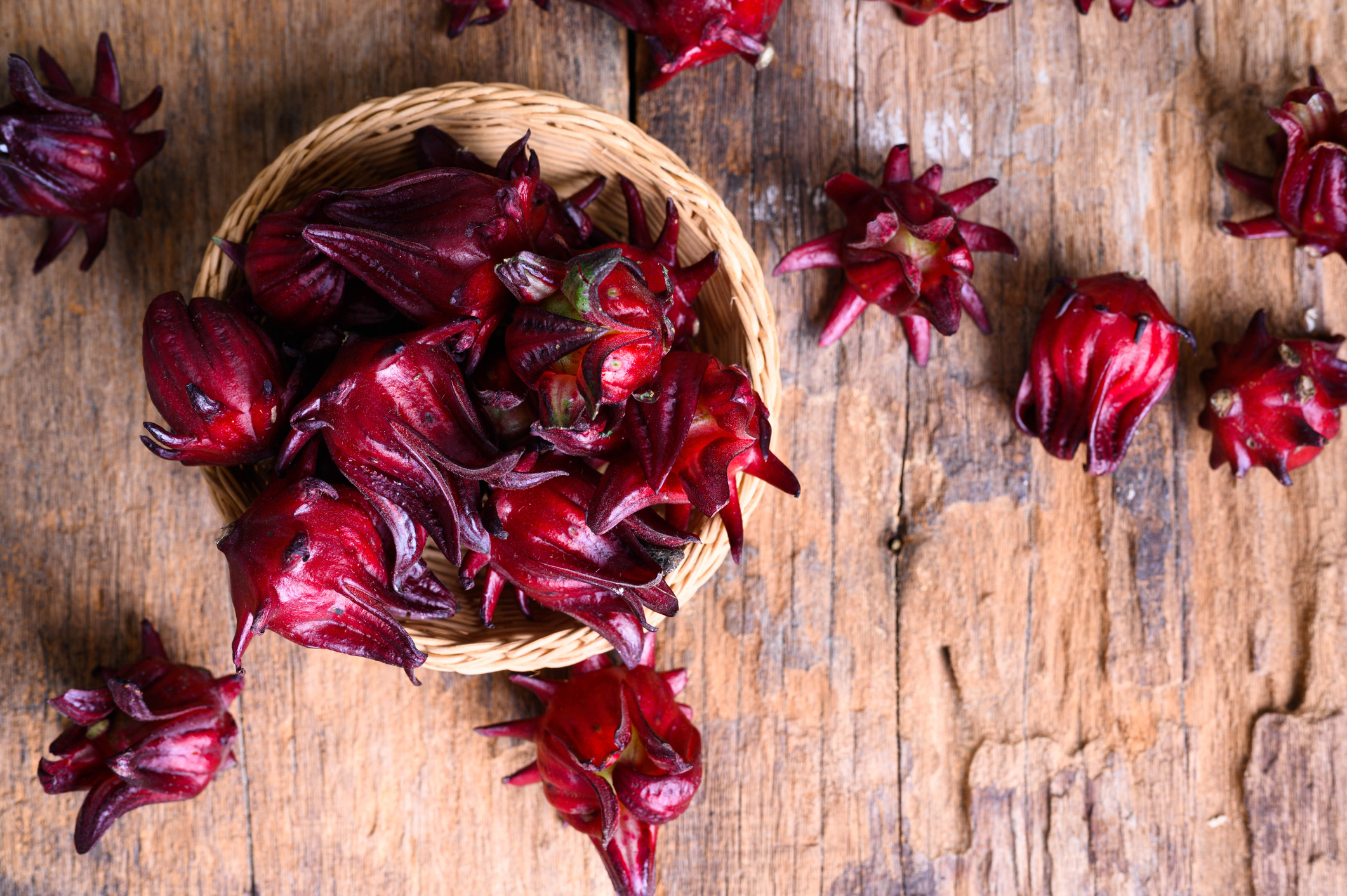 Hibiscus sabdariffa gaļīgs ziedu kaktiņš (Hibiscus sabdariffa)