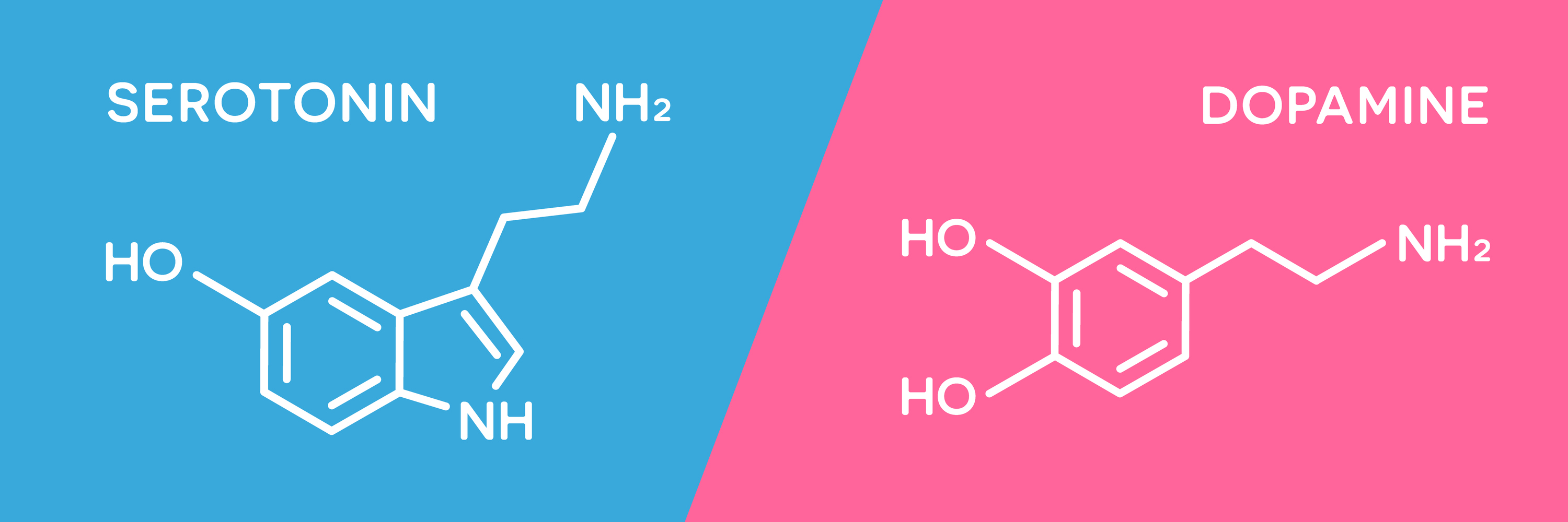 Serotonīna vai dopamīna līmeņa nelīdzsvarotība var izraisīt trauksmes traucējumus. 