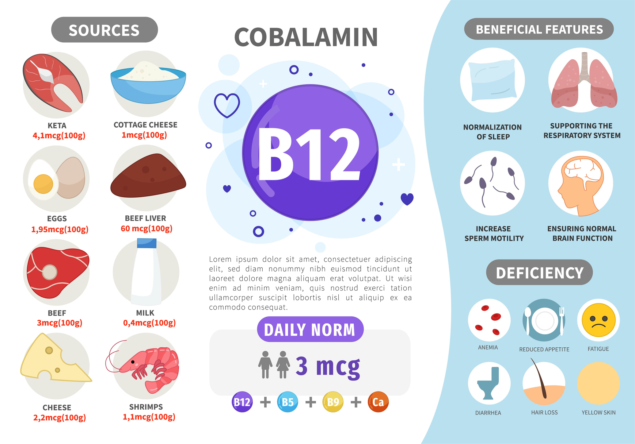 B12 vitamīna avoti