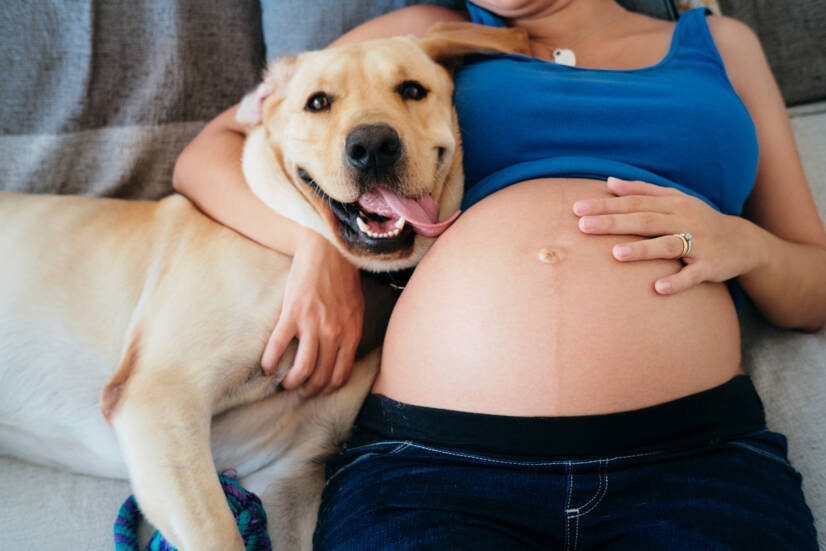 Grūtniece un mājdzīvnieki. Foto avots: Getty Images