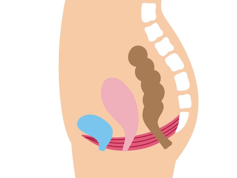 Iegurņa dibens: kāda ir tā funkcija un nozīme sievietēm + vingrinājumi nostiprināšanai un relaksācijai